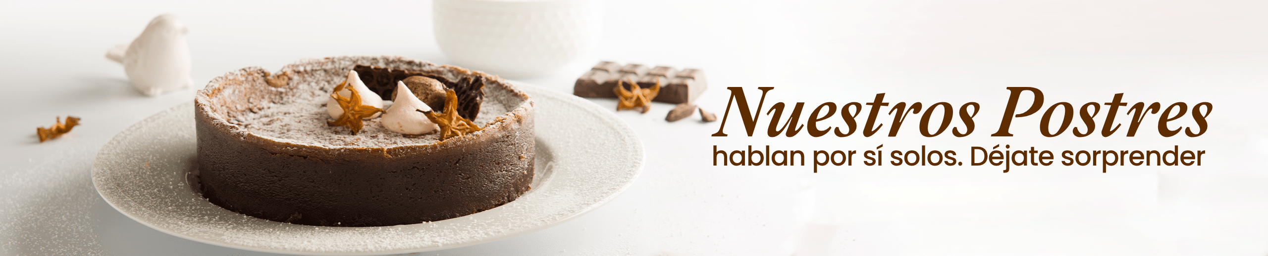 Banner Web - Postres